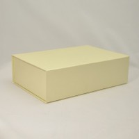 Коробка на магнітах 22*16*5,5 см бежева (Dali bianсo)