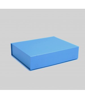 Коробка на магнітах 22*16*5,5 см блакитна (Clariana)